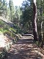 Fiesole - Parco di Montececeri-22